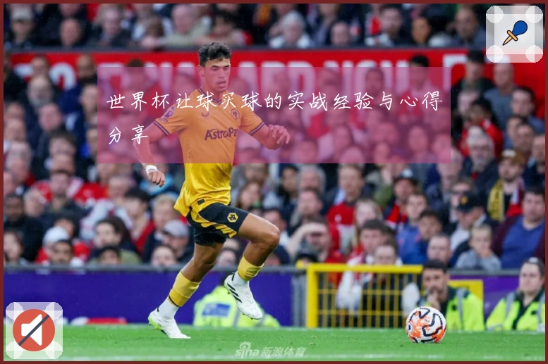 世界杯让球买球的实战经验与心得分享