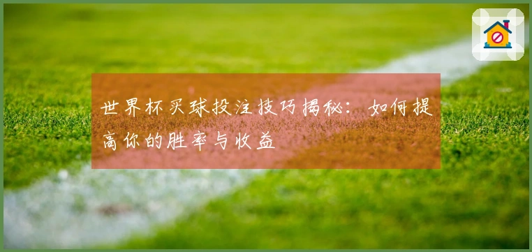 世界杯买球投注技巧揭秘：如何提高你的胜率与收益