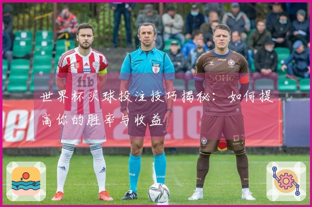 世界杯买球投注技巧揭秘:如何提高你的胜率与收益