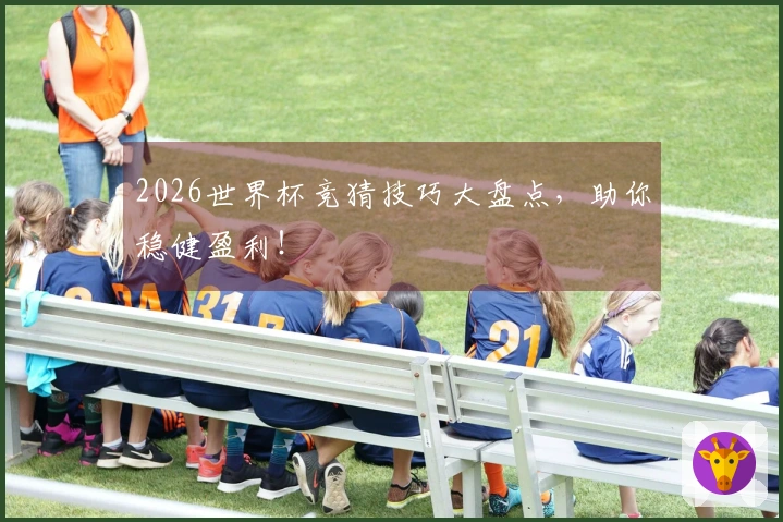 2026世界杯竞猜技巧大盘点，助你稳健盈利！