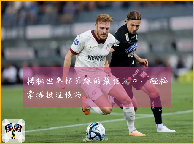 揭秘世界杯买球的最佳入口，轻松掌握投注技巧