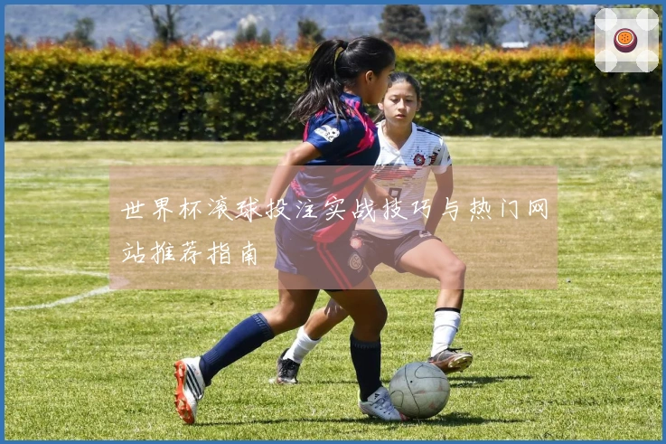 世界杯滚球投注实战技巧与热门网站推荐指南