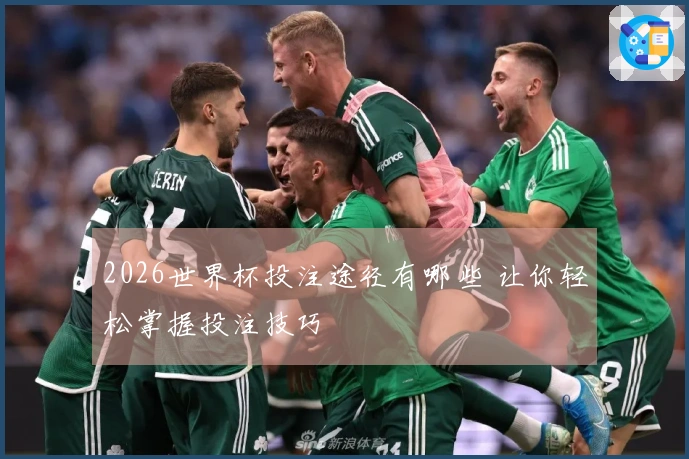 2026世界杯投注途径有哪些 让你轻松掌握投注技巧