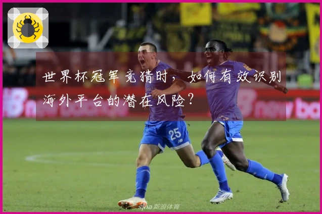 世界杯冠军竞猜时，如何有效识别海外平台的潜在风险？