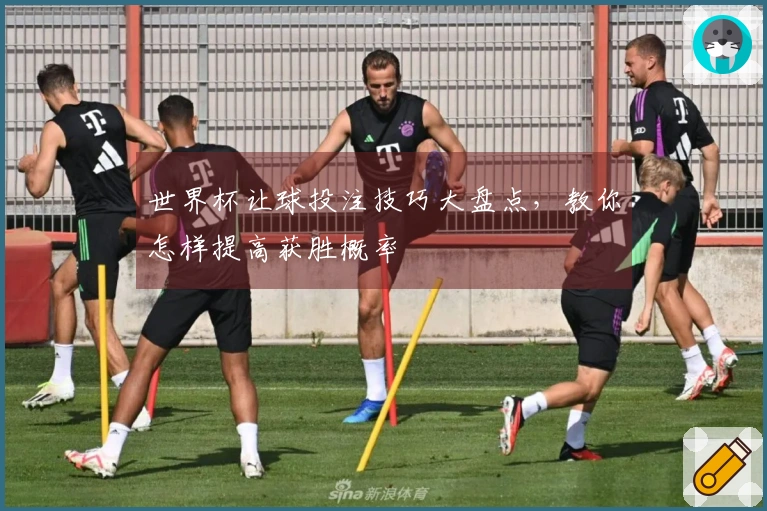 世界杯让球投注技巧大盘点，教你怎样提高获胜概率