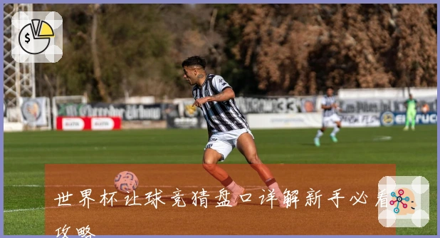 世界杯让球竞猜盘口详解新手必看攻略