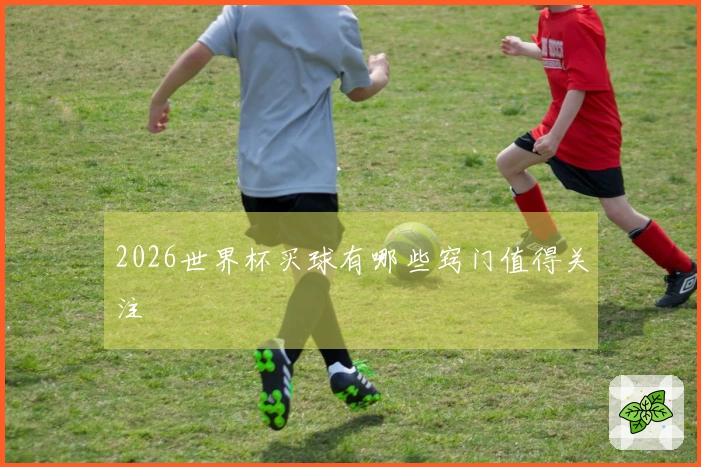 2026世界杯买球有哪些窍门值得关注