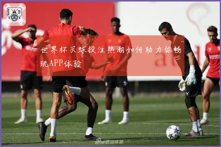 世界杯买球投注热潮如何助力你畅玩APP体验