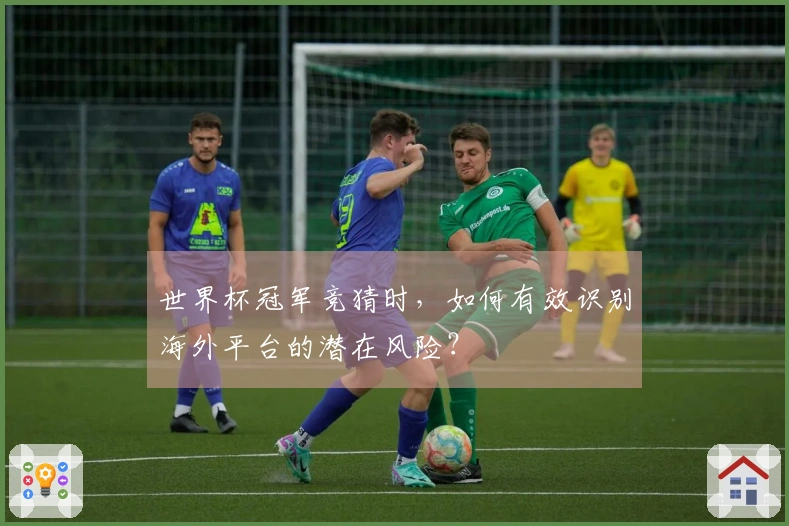 世界杯冠军竞猜时，如何有效识别海外平台的潜在风险？