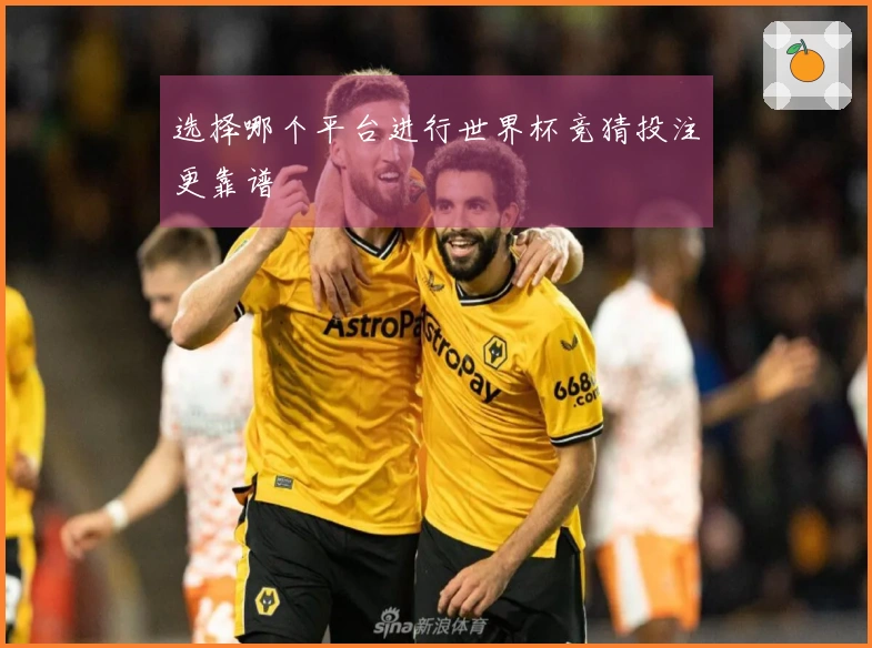选择哪个平台进行世界杯竞猜投注更靠谱