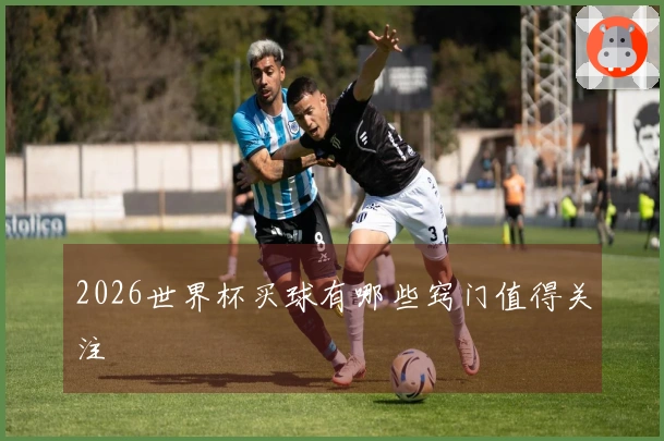 2026世界杯买球有哪些窍门值得关注