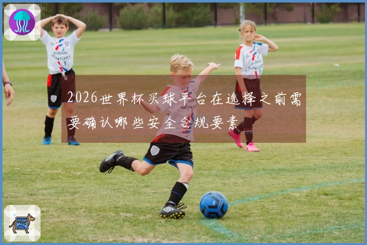 2026世界杯买球平台在选择之前需要确认哪些安全合规要素