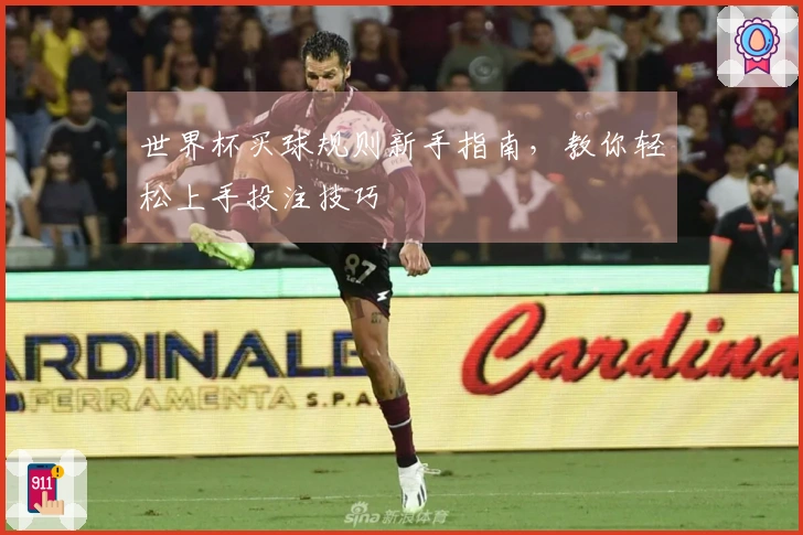 世界杯买球规则新手指南，教你轻松上手投注技巧