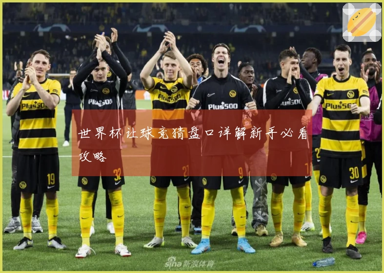 世界杯让球竞猜盘口详解新手必看攻略